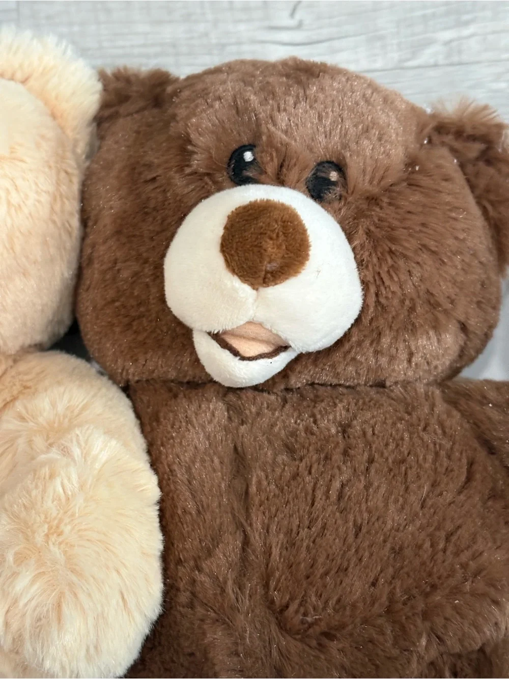 3-Pack Plush Bear Dog Toys - Cream, Brown & Gray DS Brand New!